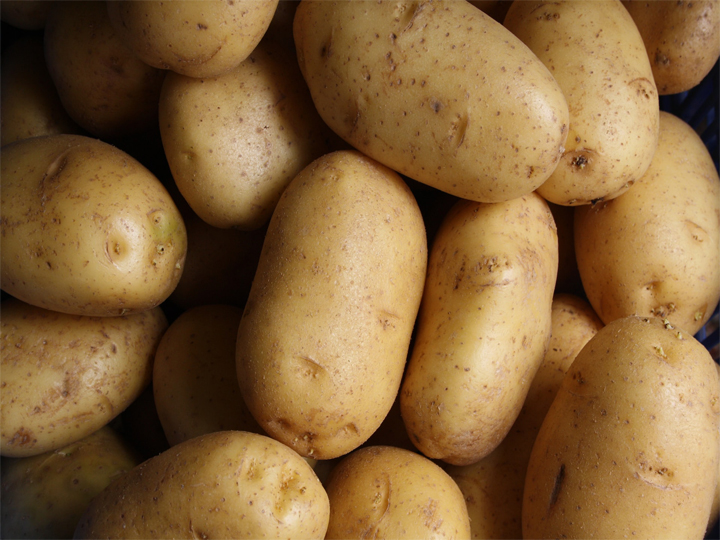 السعرات الحرارية في البطاطس المسلوقة والمقلية