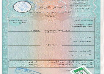 طريقة استخراج شهادة ميلاد كمبيوتر فوري
