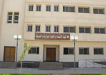 افضل تخصصات كلية الاقتصاد والعلوم السياسية