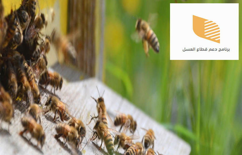 خطوات الاستعلام عن دعم النحل دعم ريف