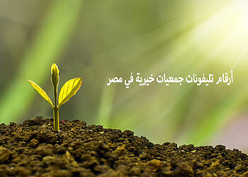 أرقام تليفونات جمعيات خيرية في مصر