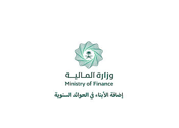 إضافة الأبناء في العوائد السنوية